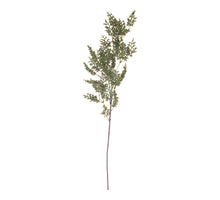 Euphorbia tak gevlokt 63cm Groen