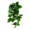 Hanger Pothos 60cm groen
