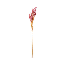 WEISSE PHALAENOPSIS-PFLANZE H150 CM