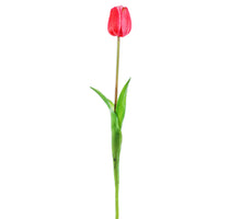 TULPENSTIEL H 47 CM FUCHSIE
