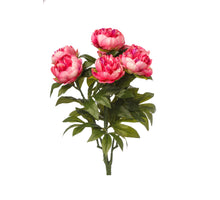 PFINGSTROSE BUSCH X 7 LILA