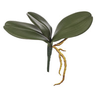 ORCHIDEE BLÄTTER X 3LVS H 22 CM GRÜN