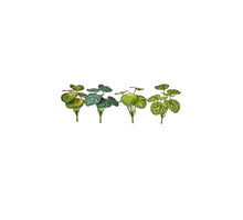 Plant 23cm groen 4 assortie x7 leaves