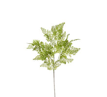 JUNGFERNHAARZWEIG H 80 CM GRÜN