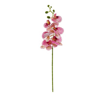 Orchidee tak x6 leaves 72cm Beauty