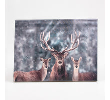 AUSSENBILD HIRSCH 50X70 CM
