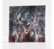 AUSSENBILD HIRSCH 30X40 CM