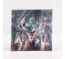 AUSSENBILD HIRSCH 25X25 CM