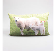 OUTDOOR-KISSEN SCHAF 30X50 CM