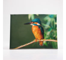 OUTDOOR-MALEREI EISVOGEL 30X40 CM