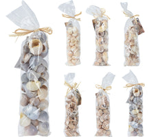 MUSCHELDEKO IM BEUTEL, 6ER-SET, SORTIERT, 35X9X6CM