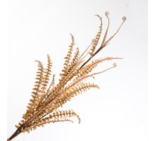 Boston Fern Bundle Beige 116cm