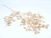 Lunaria Gold 90cm