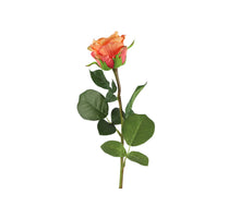 Rosa L70cm Lachs/Orange
