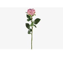 Rose L70cm Lila
