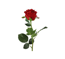Rosa L70cm Rot