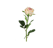 Rosa L70cm L.Rosa