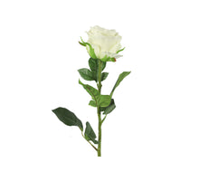 Rosa L70cm Weiß