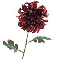 Chrysantheme getrocknet 68cm Burgunderrot