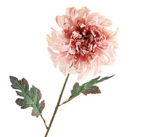 Getrocknete Chrysantheme 68cm Rosa