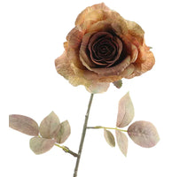 Rosa Dried 67cm Braun