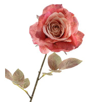 Rosa getrocknet 67cm Pink