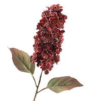 Getrocknete Kegelhortensie 66cm Rot