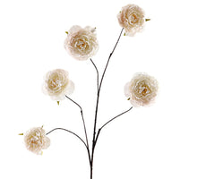 Cabbage Rosa Spray 112cm Beige