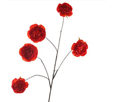 Kohl Rosa Spray 112cm Orange