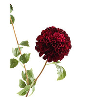 Dahlia Spray 111cm Burgunderrot