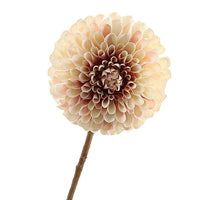 Dahlie 65cm Creme/Rosa