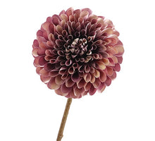 Dahlie 65cm Lila/Creme