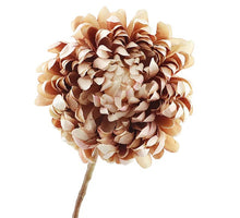 Chrysantheme 65cm Braun/Rosa