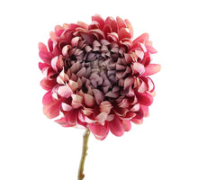 Chrysantheme 65cm Malve/Rosa