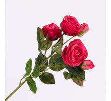 Rosa Spray wh 3 fls & 2 buds Cerise 43cm