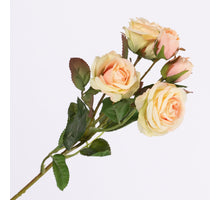 Rosa Spray wh 3 fls & 2 buds Cream Pink 43cm