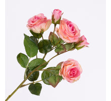 Rosa Spray wh 3 fls & 2 buds Pink 43cm