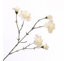Dianthus Spray Cream 56cm