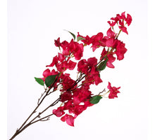 Bougainvillea Spray Beauty 102cm