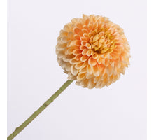 Dahlia Peach 64cm