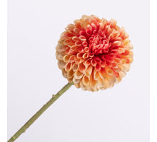 Dahlia Peach Pink 64cm