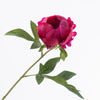 Paeonia Cerise 57cm