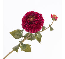 Dahlia Spray x 1 flw 1 bud  Burgundy 67cm