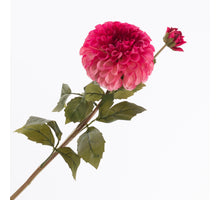 Dahlia Spray x 1 flw 1 bud  Pink 67cm