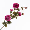 Dahlie Spray x4 Stiele 5 Bud Beauty 113cm