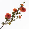 Dahlie Spray x4 Stiele 5 Knospen Koralle 113cm