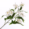 Lilium Spray White 78cm
