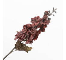 Delphinium Burgundy 75cm