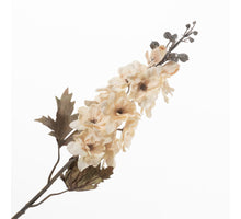 Delphinium Cream 75cm