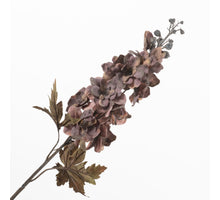 Delphinium Lavender 75cm